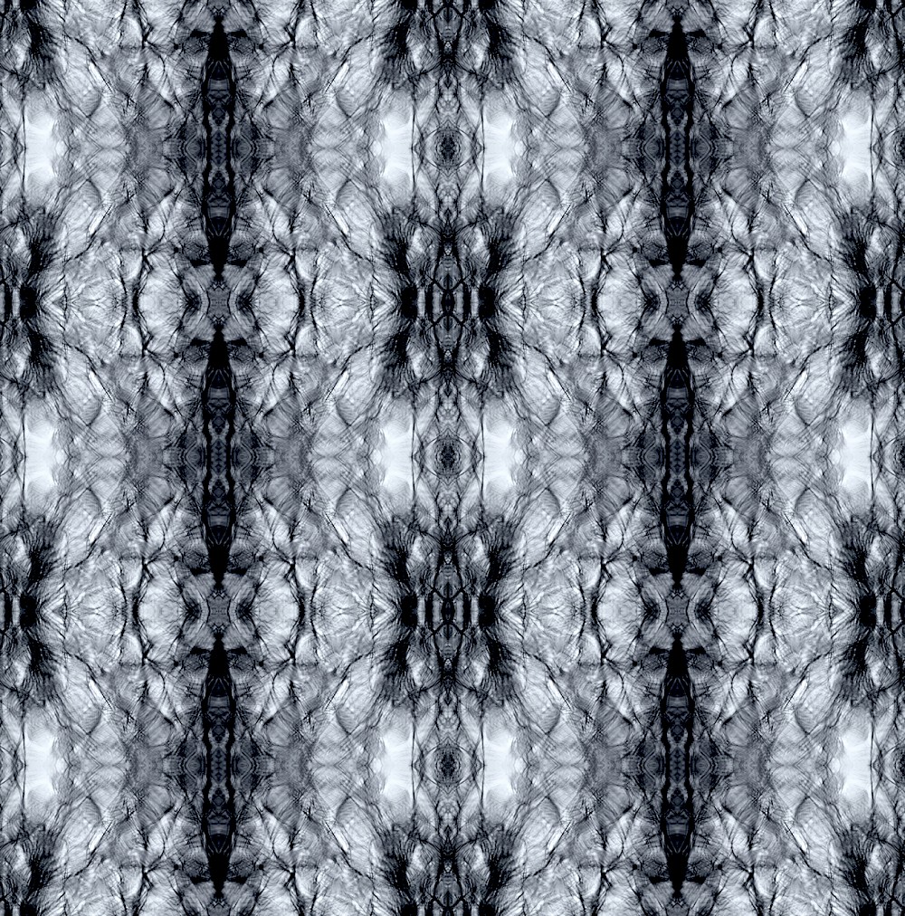 Patterns of Nature