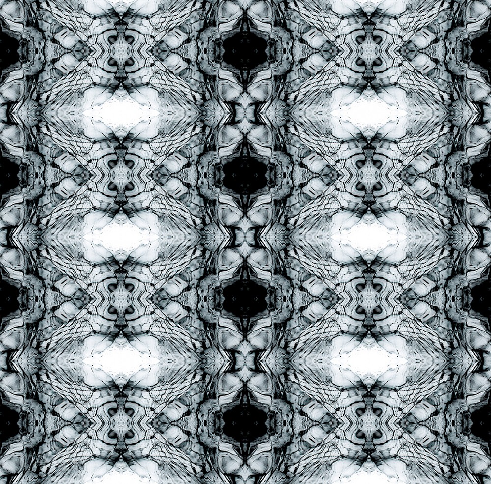 Patterns of Nature