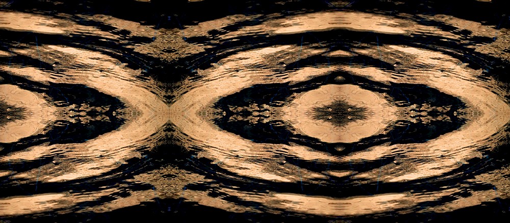 Patterns of Nature